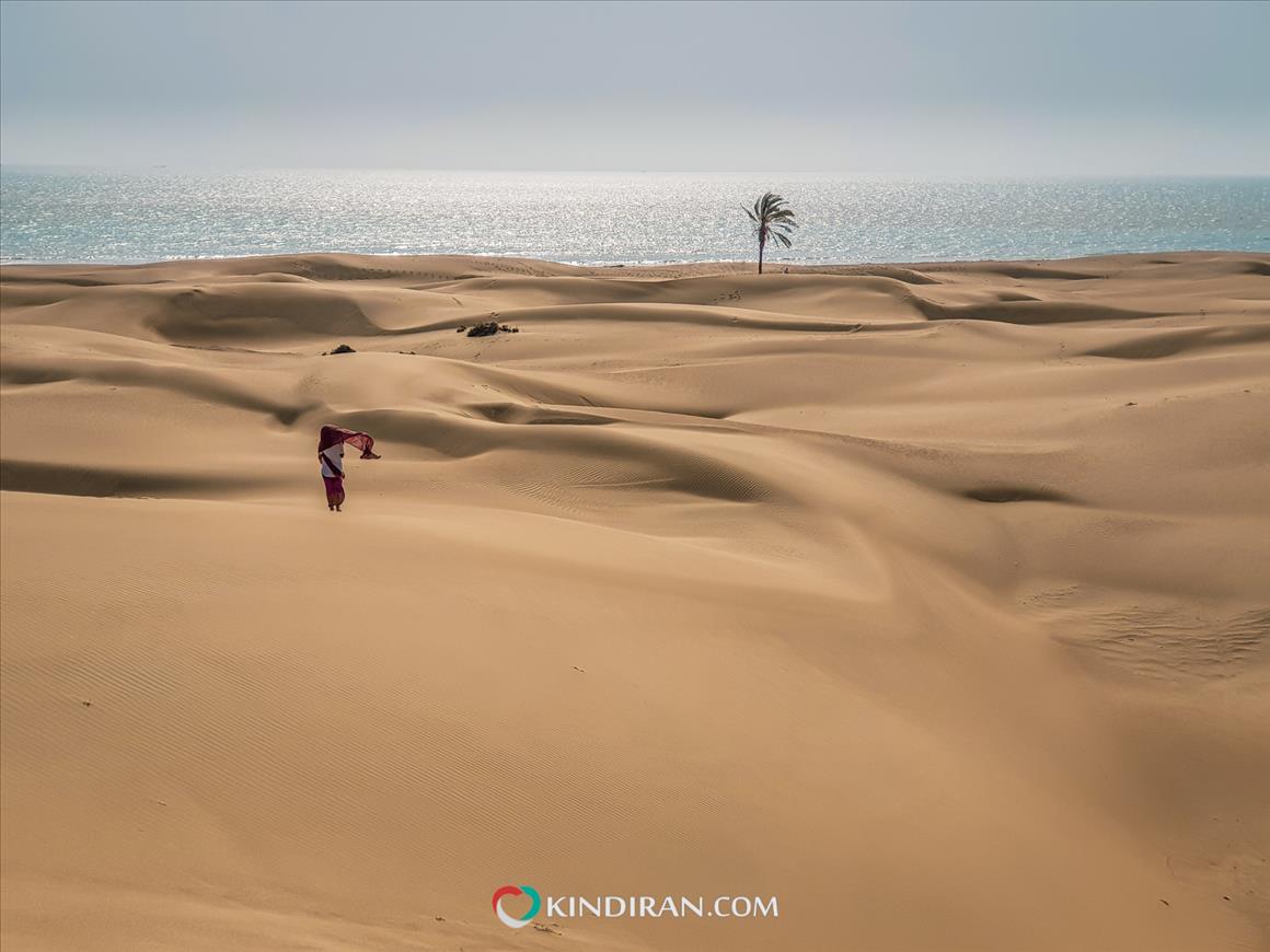 达拉克沙漠与大海交汇的地方