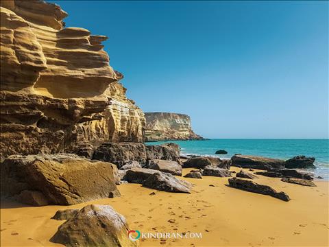 Oman overall has great animal and plant biodiversity because it has mountains, desert, coastal areas and rich coral reefs.